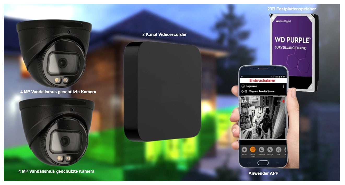 Videoüberwachung Leasing (Grundmodul 2V)
